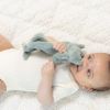 Picture of Pacifier Buddy Freddie the Frog | Bella Tunno