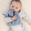 Picture of Pacifier Buddy Leo the Lion | Bella Tunno