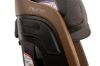 Picture of LUMN Harness Booster - Granite | by Nuna