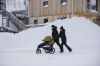 Picture of Urban Glide 3 Nutria Green | Thule