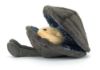 Picture of Michelle Mussel | Amuseables by Jellycat