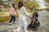 Picture of Cruz V3 Stroller - Declan - Oat/Silver/Chestnut | Uppa Baby