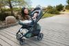 Picture of Cruz V3 Stroller - Greyson - Charcoal/Carbon/Saddle | Uppa Baby