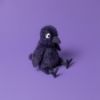 Picture of Hocus Crow | Mad Menagerie by Jellycat