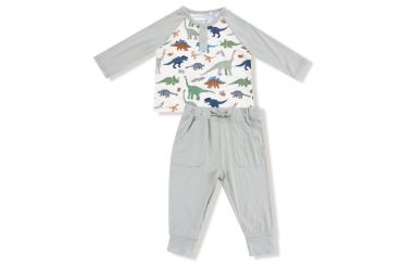 Picture for category Washy Dinos