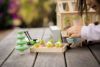 Picture of Greenhouse And Garden Set | Tender Leaf Toys