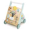 Picture of Sunshine Baby Activity Walker | Tender Leaf Toys